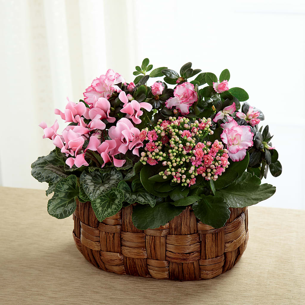 Pink Assortment – Marcela Floral Design, Sunrise FL