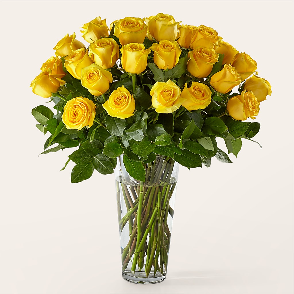 Long Stem Yellow Rose Bouquet – Marcela Floral Design, Sunrise FL