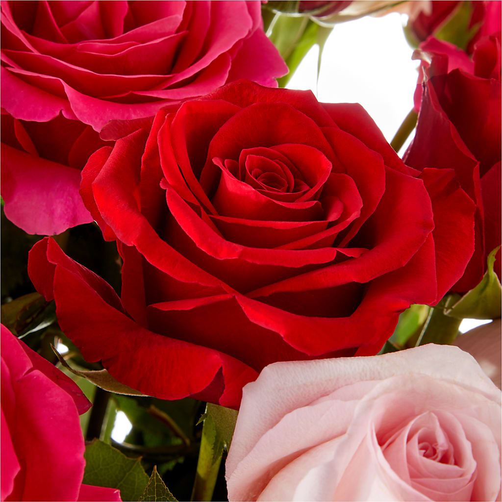 Love Notes Rose Bouquet – Marcela Floral Design, Sunrise FL