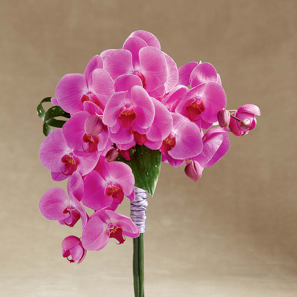 Glorious Bouquet – Marcela Floral Design, Sunrise FL