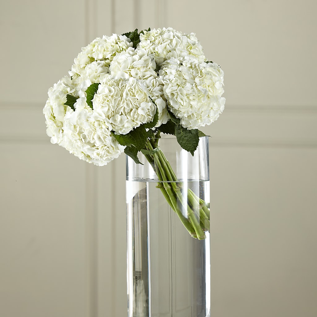 White Hydrangea Hand-Tied Bouquet – Marcela Floral Design, Sunrise FL