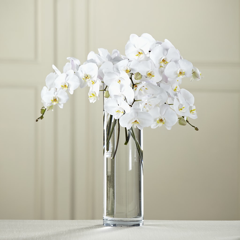 White Phalaenopsis Bouquet – Marcela Floral Design, Sunrise FL