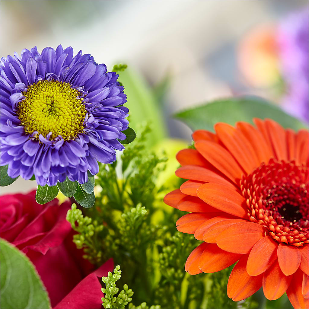 Bold & Bright – A Florist Original –  Marcela Floral Design, Sunrise FL