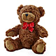 Adorable Plush Bear –  Marcela Floral Design, Sunrise FL