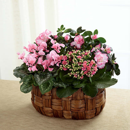 Pink Assortment –  Marcela Floral Design, Sunrise FL