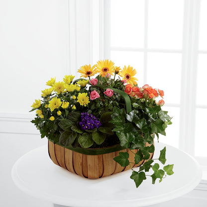 Gentle Blossoms Basket –  Marcela Floral Design, Sunrise FL