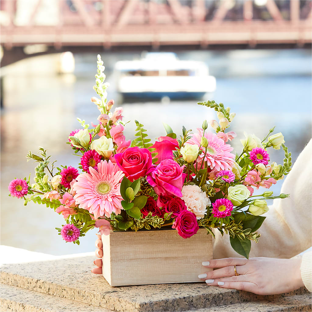 Too Cute Bouquet –  Marcela Floral Design, Sunrise FL