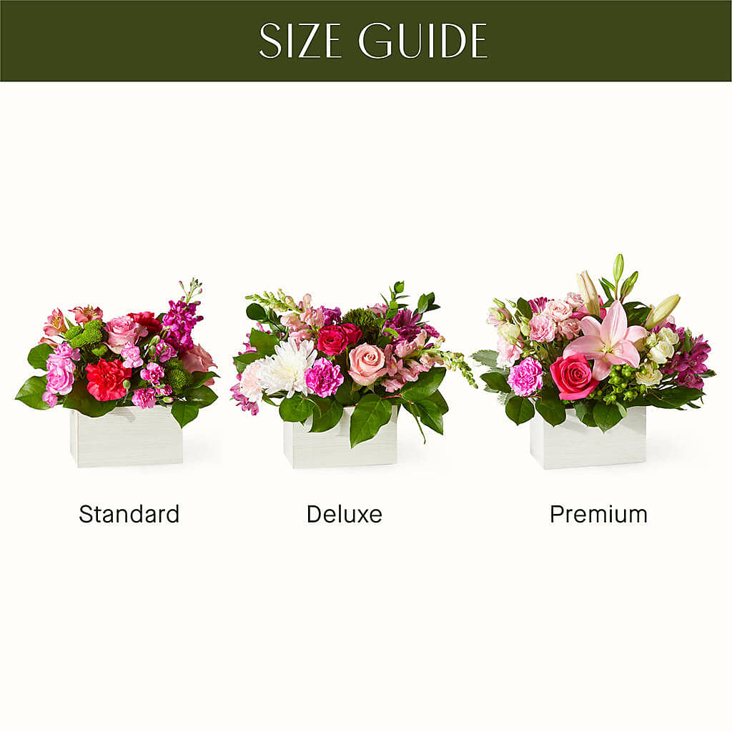 Sweetberry Box – A Florist Original –  Marcela Floral Design, Sunrise FL