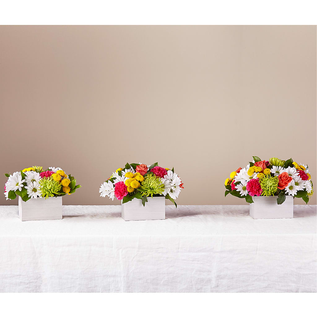 Sorbet Bouquet –  Marcela Floral Design, Sunrise FL