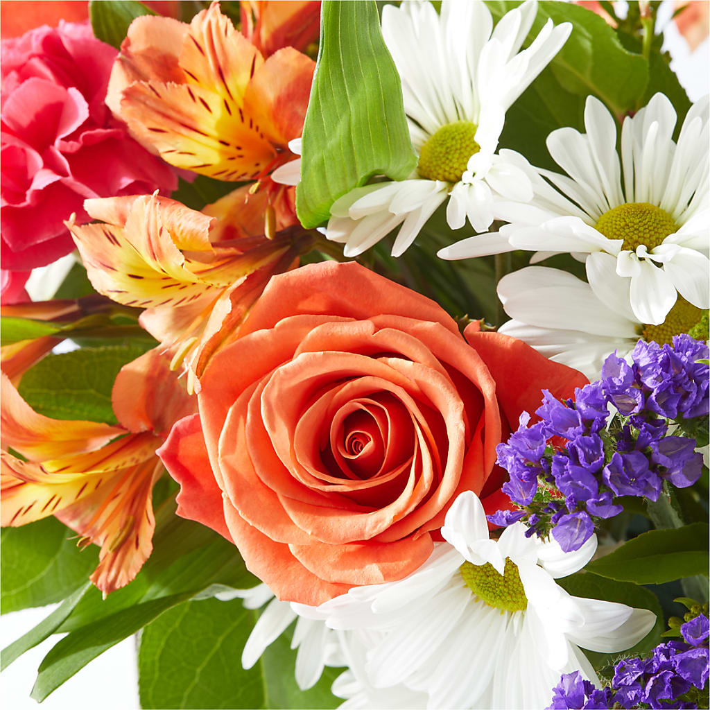 Oopsie Daisy Box Bouquet –  Marcela Floral Design, Sunrise FL