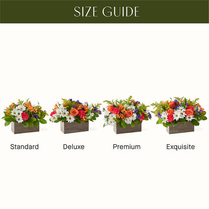 Oopsie Daisy Box Bouquet –  Marcela Floral Design, Sunrise FL