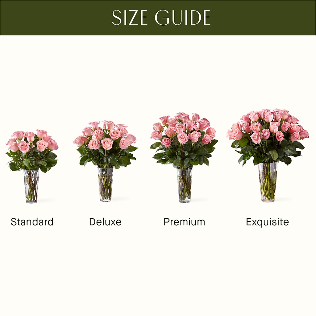Long Stem Pink Rose Bouquet –  Marcela Floral Design, Sunrise FL