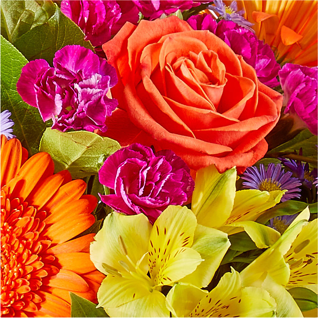 Tricks & Treats Pumpkin –  Marcela Floral Design, Sunrise FL