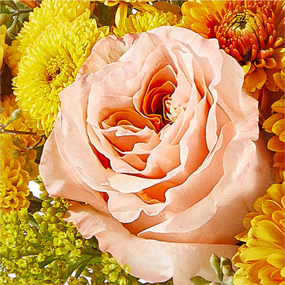 Peachy Pumpkin –  Marcela Floral Design, Sunrise FL
