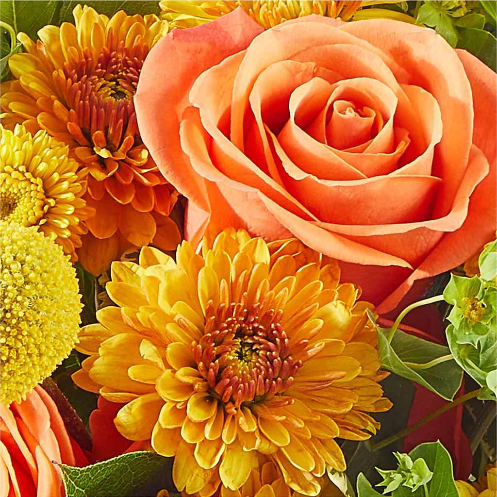 Gourdgeous Pumpkin –  Marcela Floral Design, Sunrise FL