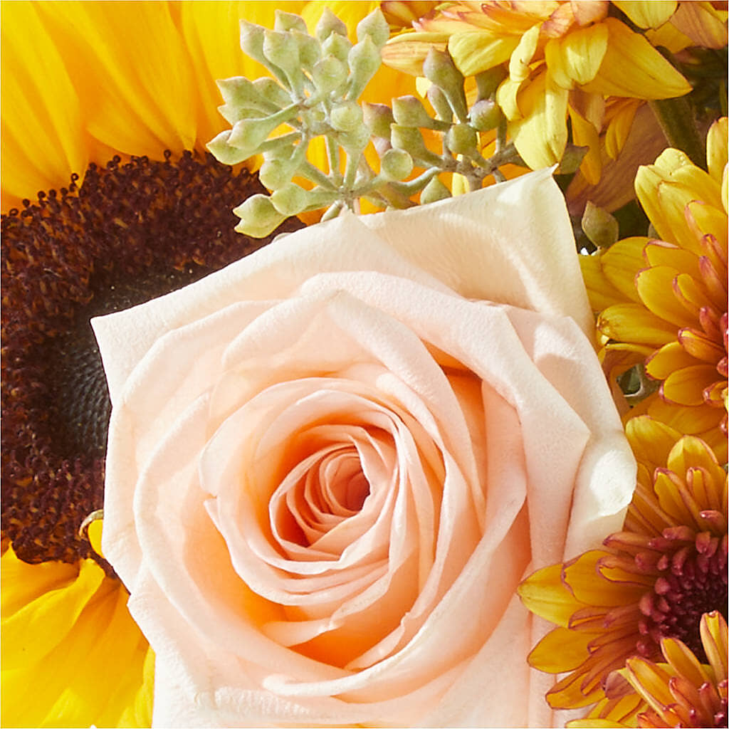 Pumpkin to Talk About Bouquet –  Marcela Floral Design, Sunrise FL