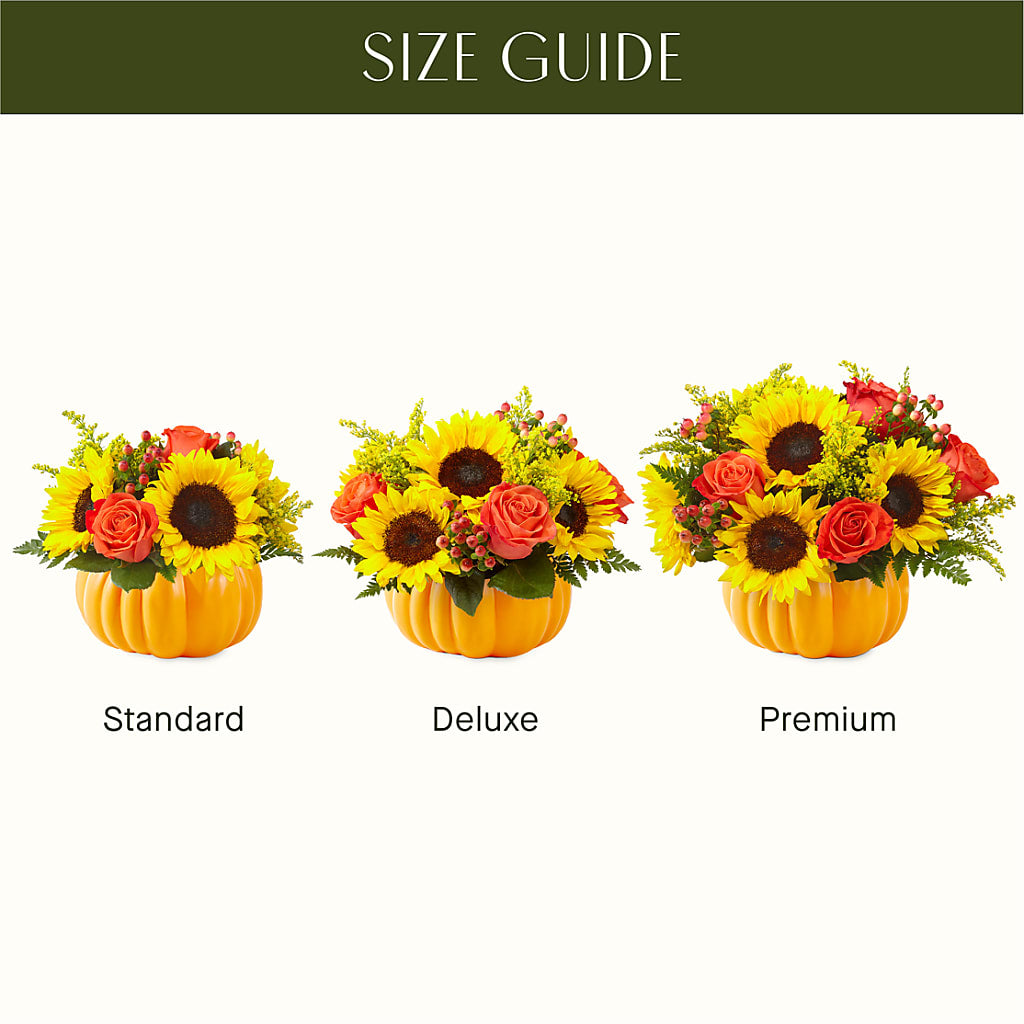 Pick of the Patch Pumpkin Bouquet –  Marcela Floral Design, Sunrise FL