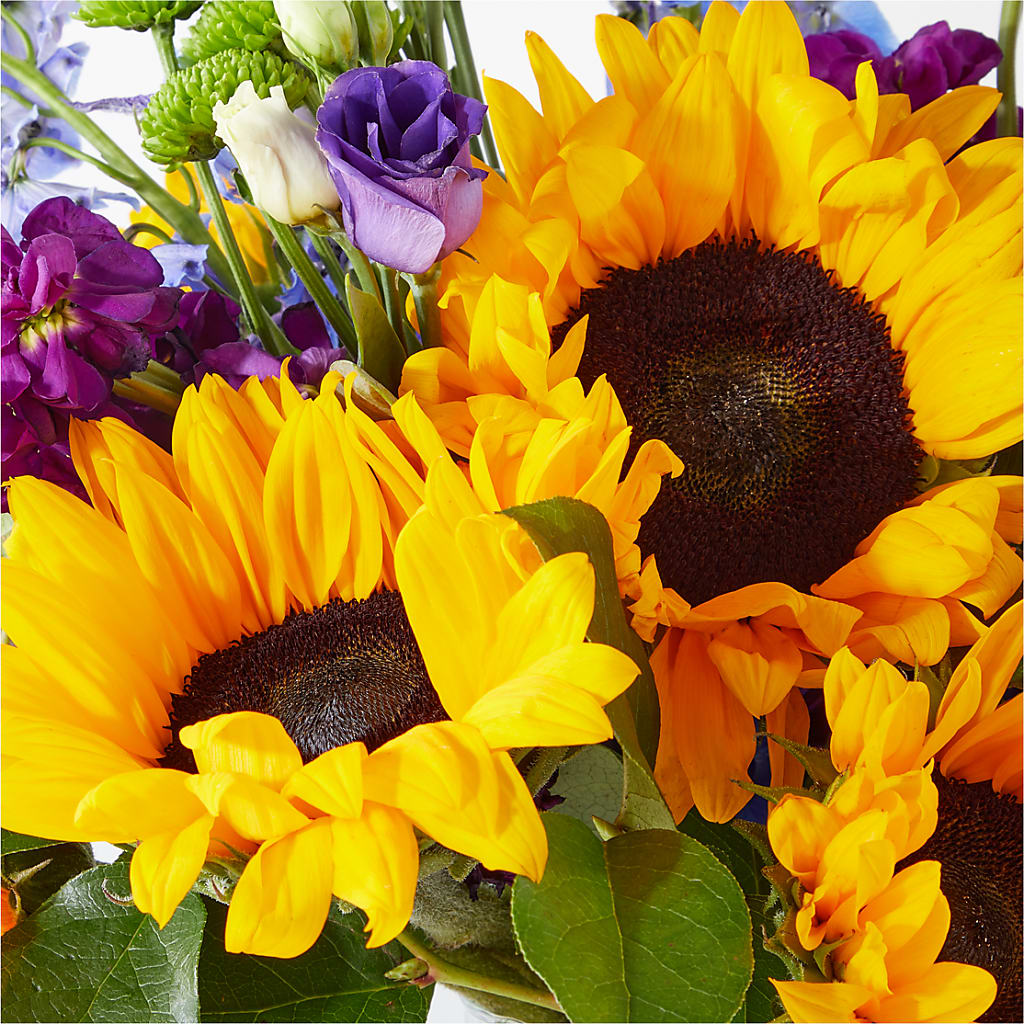 Catching Rays Bouquet –  Marcela Floral Design, Sunrise FL