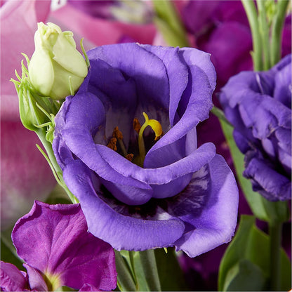 Twilight Glow Bouquet –  Marcela Floral Design, Sunrise FL