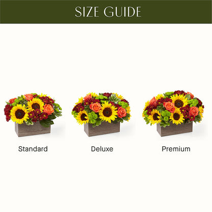 Happy Harvest Garden –  Marcela Floral Design, Sunrise FL