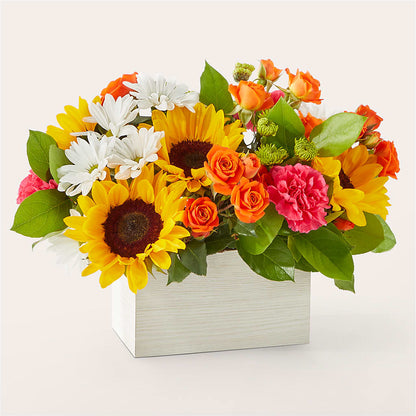 Sun-drenched Blooms Box Bouquet –  Marcela Floral Design, Sunrise FL