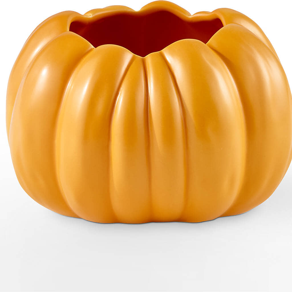 Golden Gourd Pumpkin Bouquet –  Marcela Floral Design, Sunrise FL