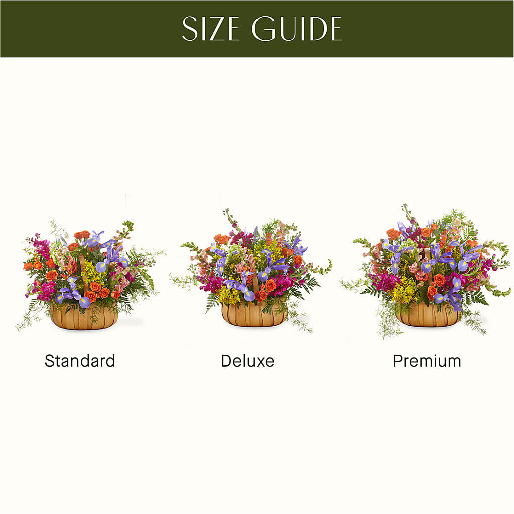 Garden of Life Basket –  Marcela Floral Design, Sunrise FL