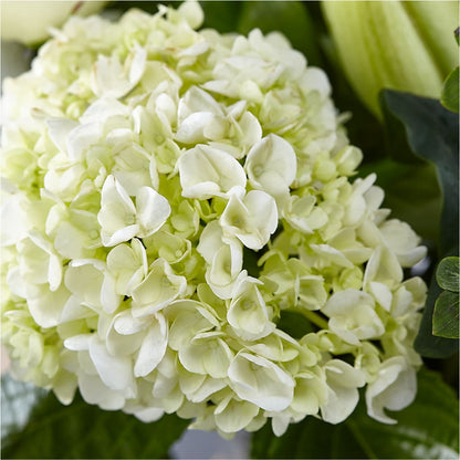 Classic Ivory – A Florist Original –  Marcela Floral Design, Sunrise FL