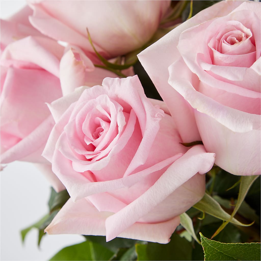Picture Perfect Pink Rose Bouquet –  Marcela Floral Design, Sunrise FL