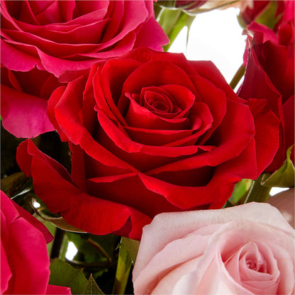 Love Notes Rose Bouquet –  Marcela Floral Design, Sunrise FL