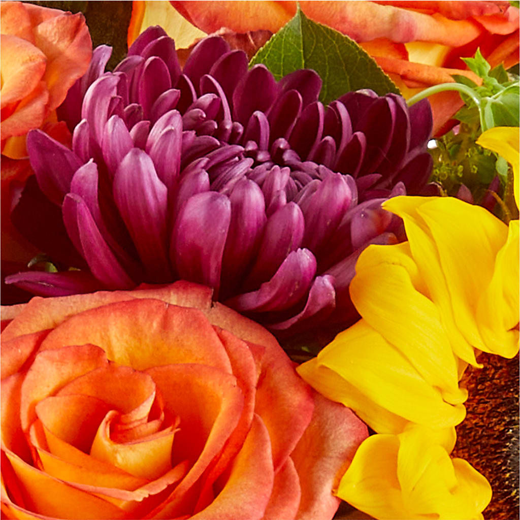 Nature Walk Bouquet –  Marcela Floral Design, Sunrise FL