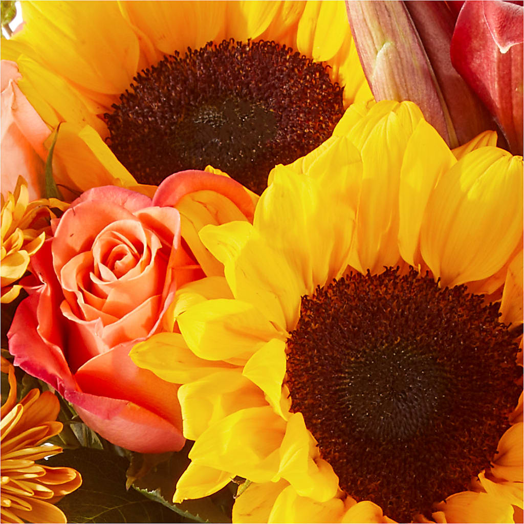 Acorn Lane Bouquet –  Marcela Floral Design, Sunrise FL