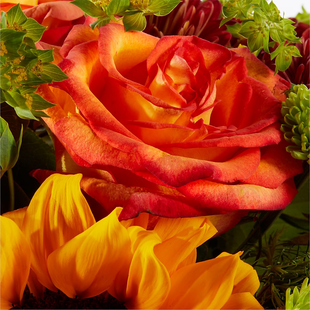 Harvest Festival Bouquet –  Marcela Floral Design, Sunrise FL