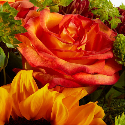 Harvest Festival Bouquet –  Marcela Floral Design, Sunrise FL