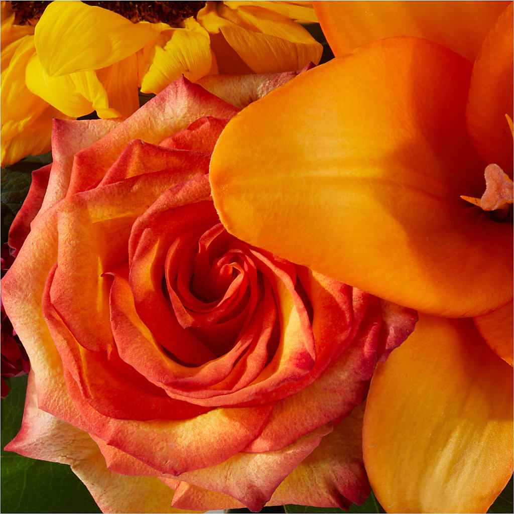 Grateful Centerpiece –  Marcela Floral Design, Sunrise FL