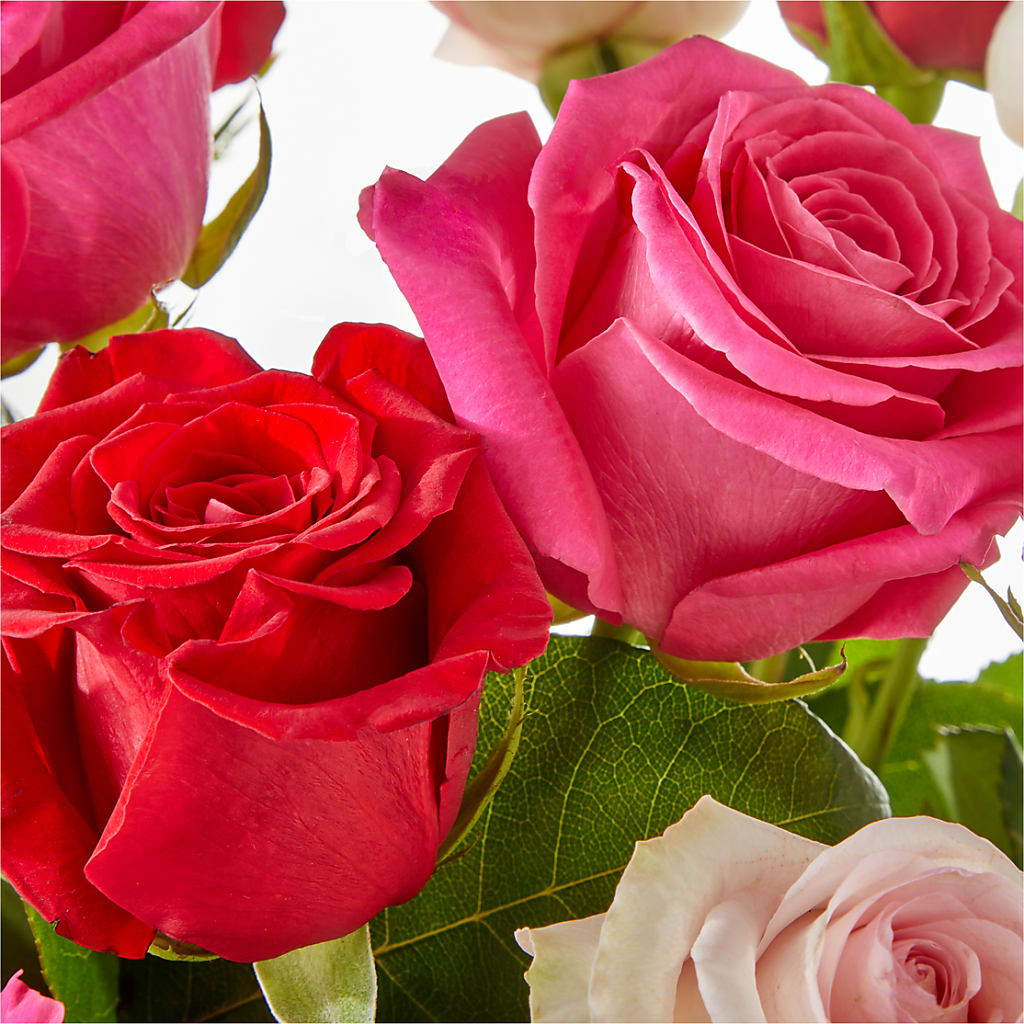 Charming Rose Bouquet –  Marcela Floral Design, Sunrise FL