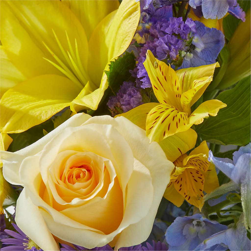 Limoncello Bouquet –  Marcela Floral Design, Sunrise FL