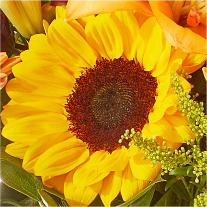 Seasons Change Bouquet –  Marcela Floral Design, Sunrise FL