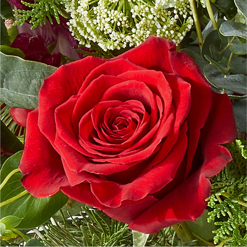 Cranberry Fizz Bouquet –  Marcela Floral Design, Sunrise FL