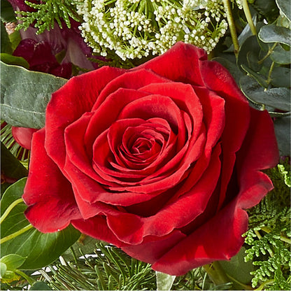 Cranberry Fizz Bouquet –  Marcela Floral Design, Sunrise FL