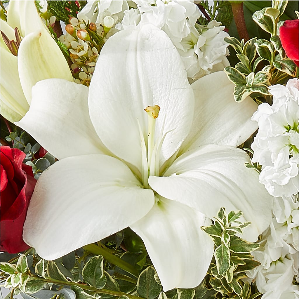 Twinkle Lights Bouquet –  Marcela Floral Design, Sunrise FL