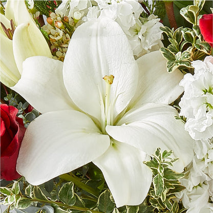 Twinkle Lights Bouquet –  Marcela Floral Design, Sunrise FL