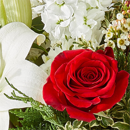 Twinkle Lights Bouquet –  Marcela Floral Design, Sunrise FL