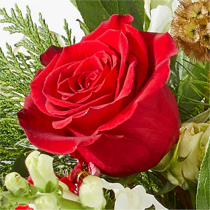 Deck the Halls Bouquet –  Marcela Floral Design, Sunrise FL