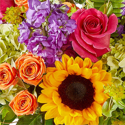 Vibrant Greetings Bouquet –  Marcela Floral Design, Sunrise FL