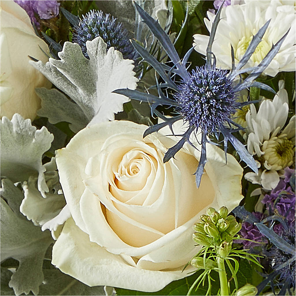 Shooting Star Bouquet –  Marcela Floral Design, Sunrise FL