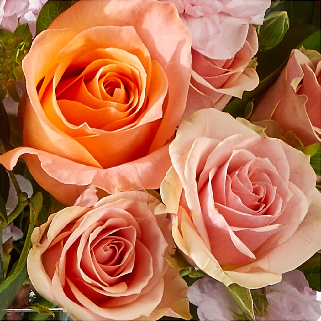 French Market Bouquet –  Marcela Floral Design, Sunrise FL