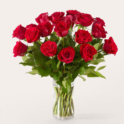 The One Red Rose Bouquet –  Marcela Floral Design, Sunrise FL