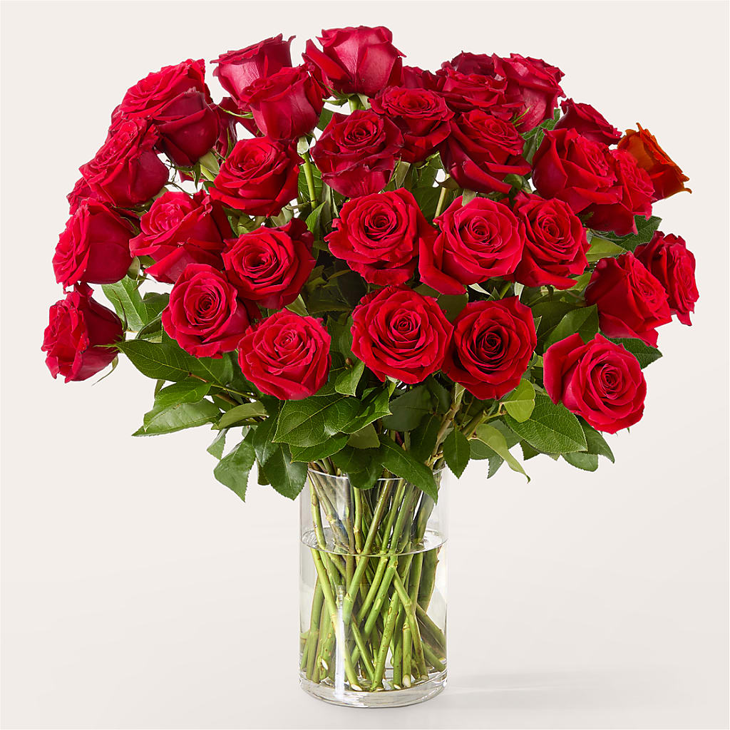 The One Red Rose Bouquet –  Marcela Floral Design, Sunrise FL