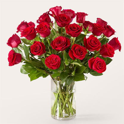 The One Red Rose Bouquet –  Marcela Floral Design, Sunrise FL
